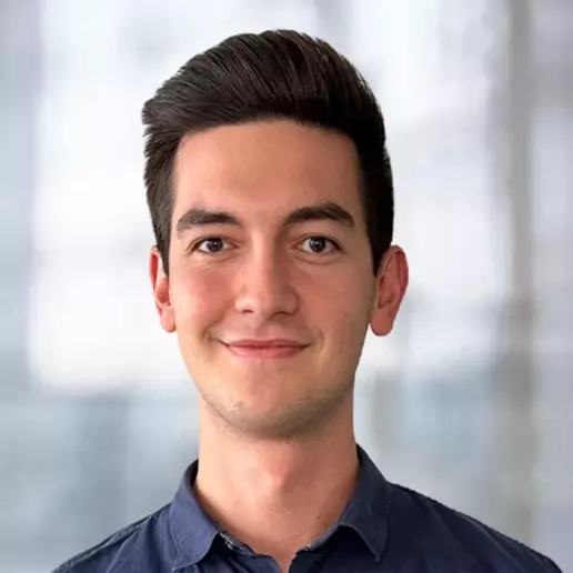 Maurice Schleeh, Security-Experte